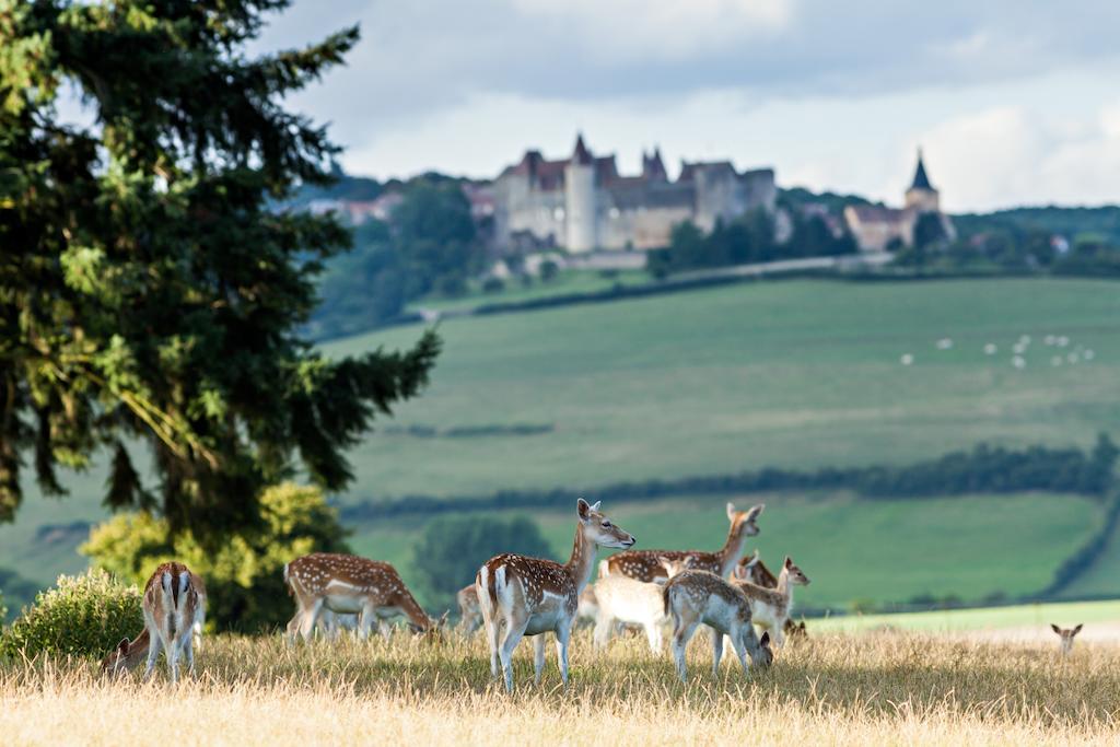 Chateau Sainte Sabine Exteriör bild